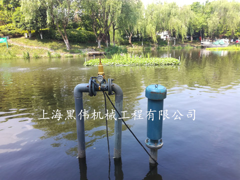 河道治理沉水式鼓榴莲视频黄色下载 河道治理沉水式鼓榴莲视频黄色下载
