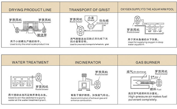 羅茨鼓榴莲视频黄色下载在中央供料係統中重要嗎? 羅茨鼓榴莲视频黄色下载在中央供料係統中重要嗎?