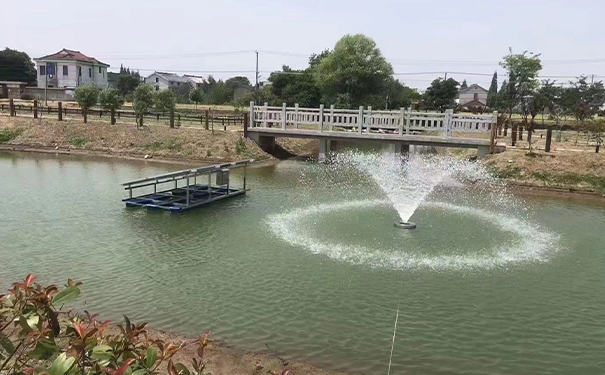 沉水榴莲视频黄色下载在水質淨化過程中主要起到哪些作用